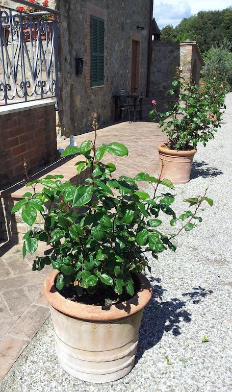 Casa Guaitoli Villa Bagni Di Petriolo Dış mekan fotoğraf